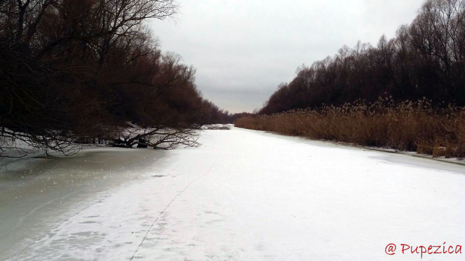 Dunarea la Chilia Veche. 24 Februarie 2017. Bratul Tataru inghetat