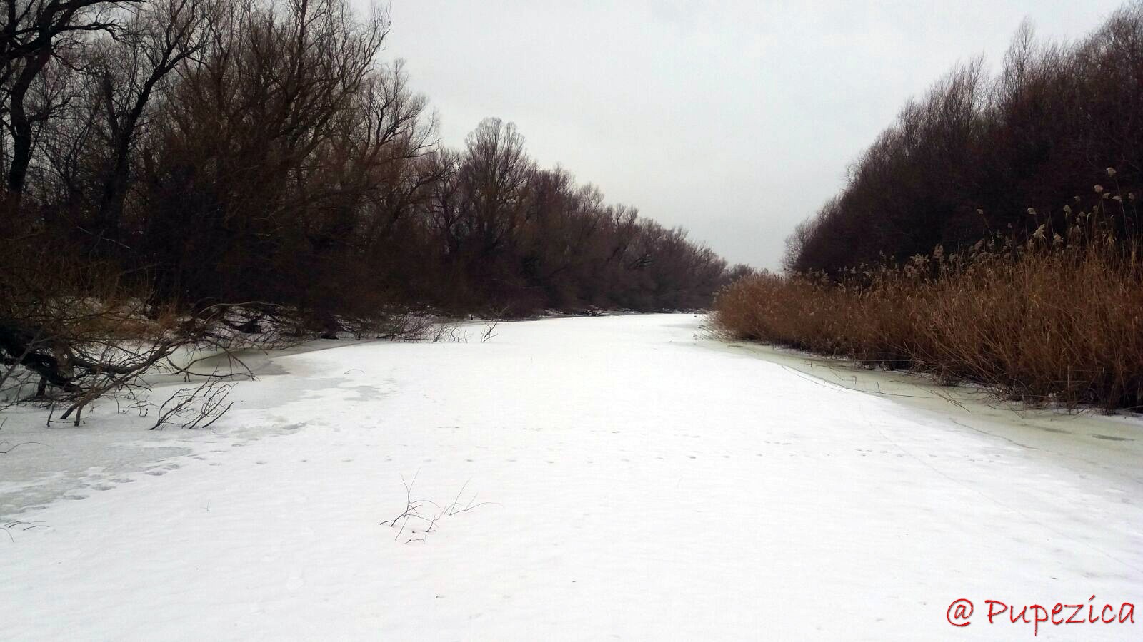 Dunarea la Chilia Veche. 24 Februarie 2017. Bratul Tataru inghetat