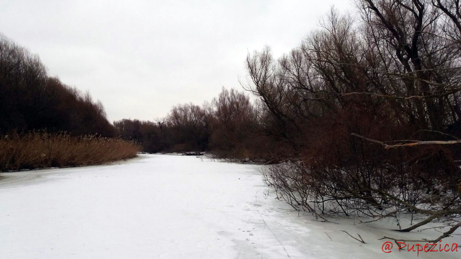Dunarea la Chilia Veche. 24 Februarie 2017. Bratul Tataru inghetat