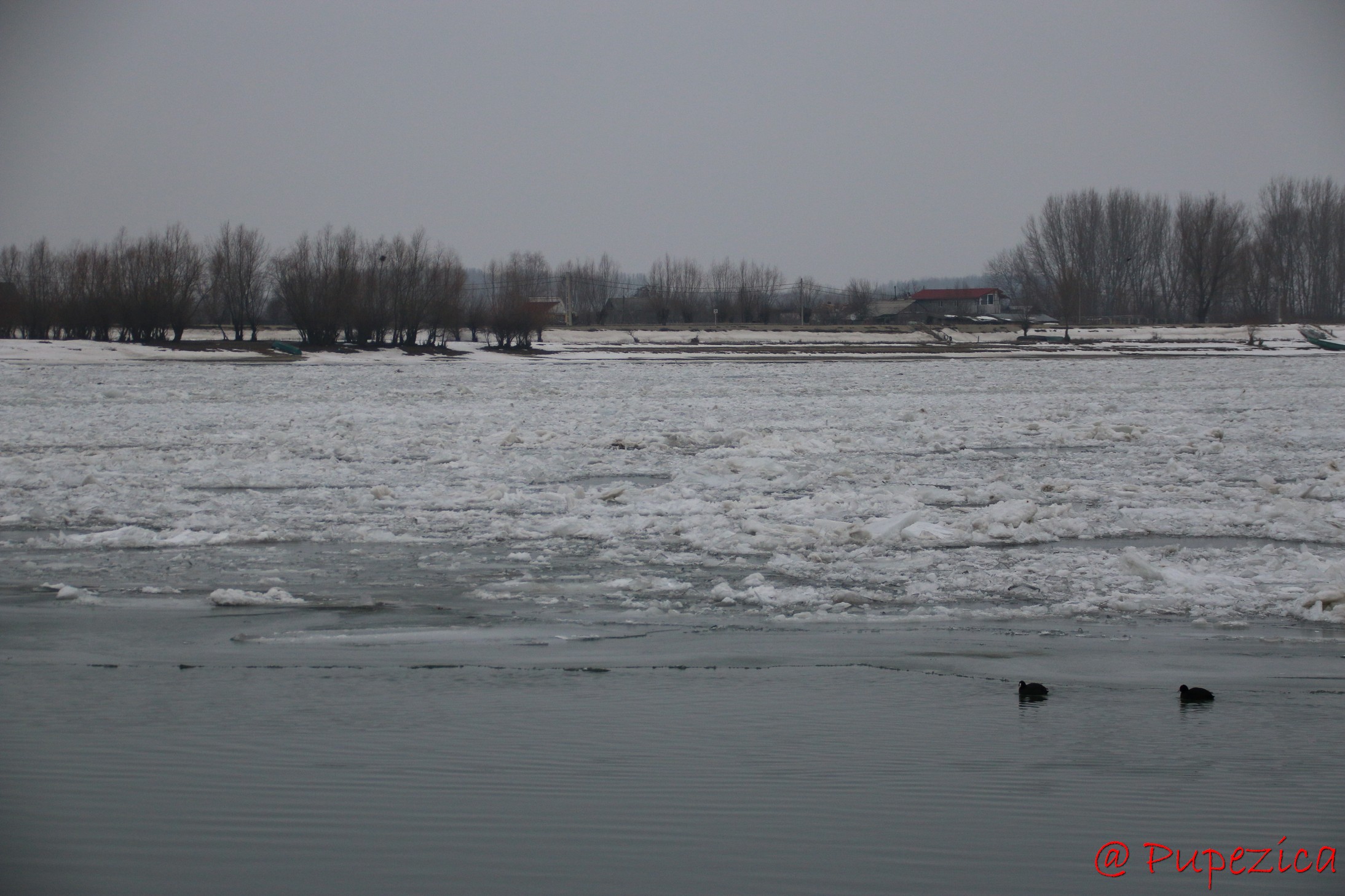 Dunarea inghetata la Port Aval - Tulcea. Ianuarie 2017