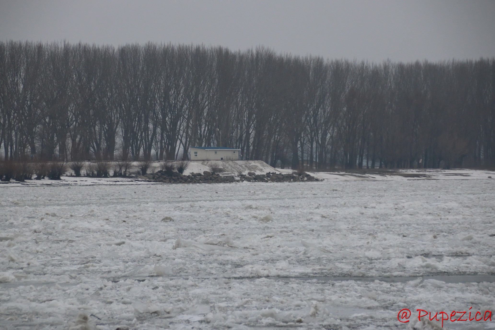 Dunarea inghetata la Port Aval - Tulcea. Ianuarie 2017. Mare de sloiuri de gheata