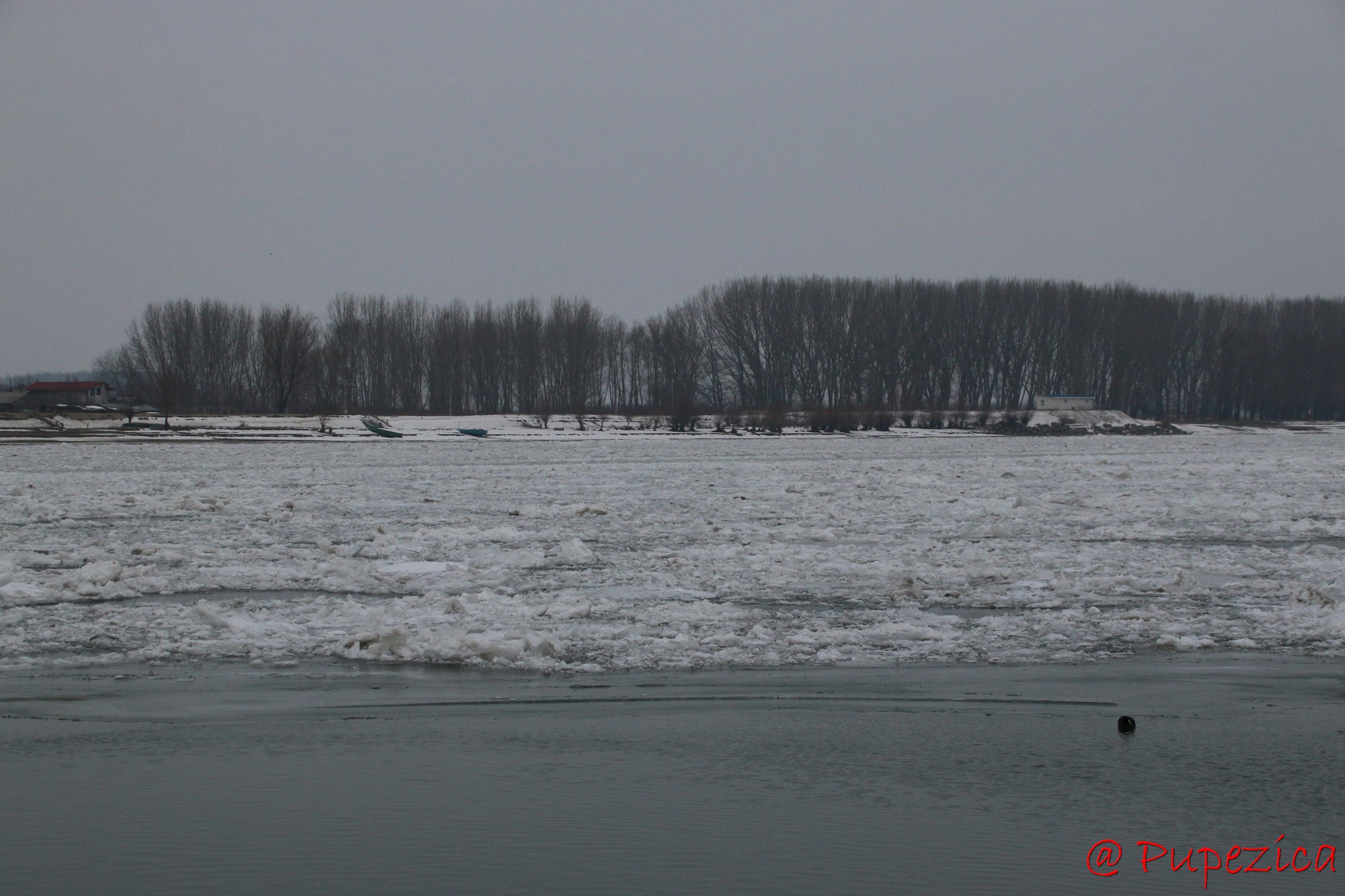 Dunarea inghetata la Port Aval - Tulcea. Ianuarie 2017