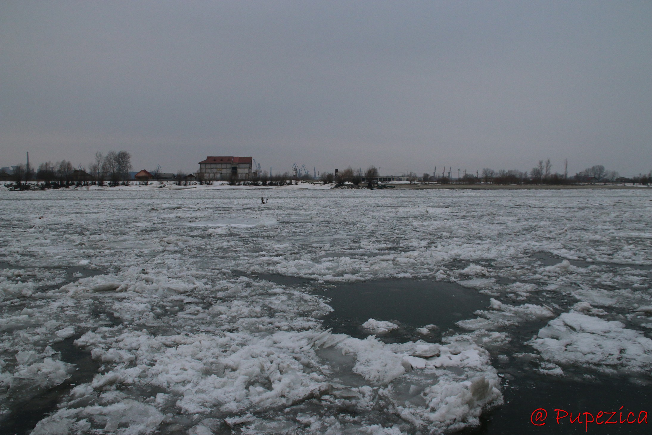 Dunarea inghetata la Port Aval - Tulcea. Ianuarie 2017. Tulcea sub asaltul sloiurilor