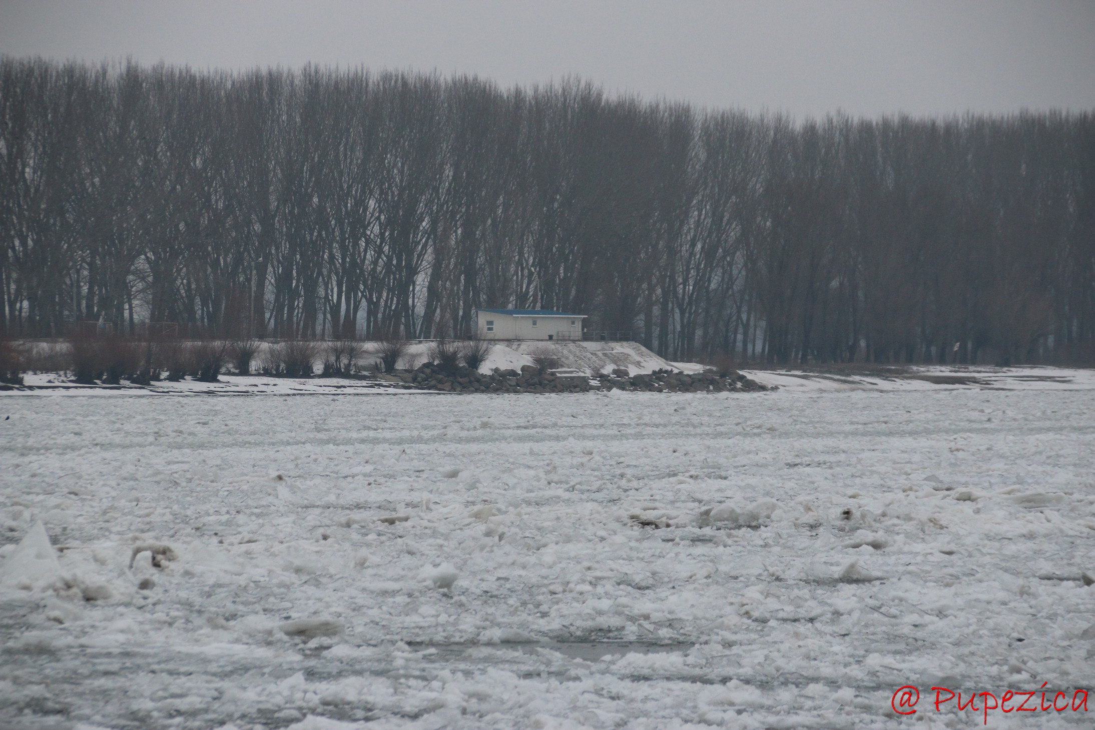Dunarea inghetata la Port Aval - Tulcea. Ianuarie 2017. Tulcea sub asaltul sloiurilor