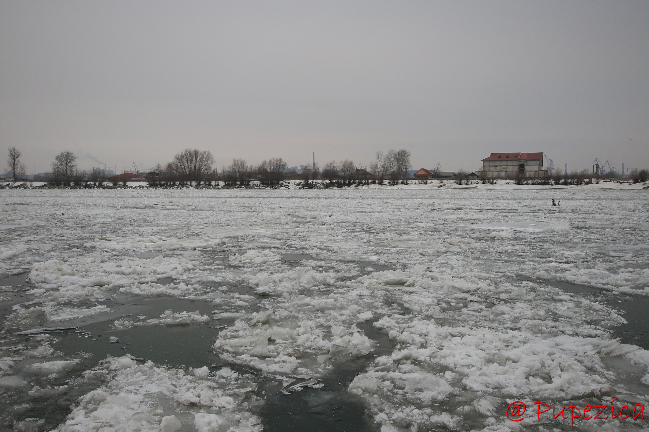 Dunarea inghetata la Tulcea - Port Aval. Ianuarie 2017. Asediul sloiurilor