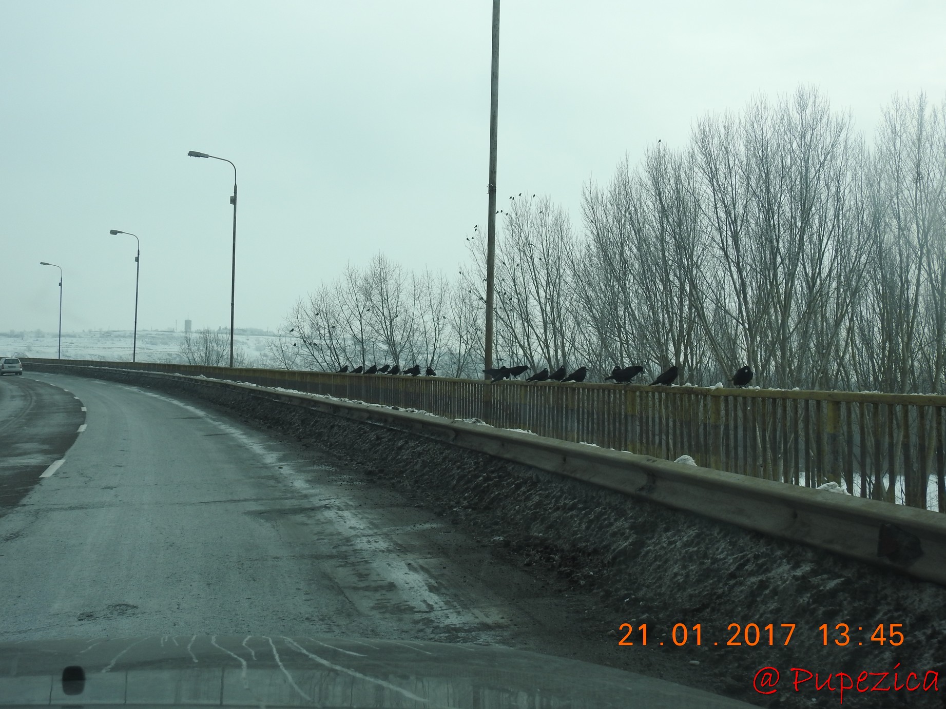 Intre Fetesti si Cernavoda. Ianuarie 2017 