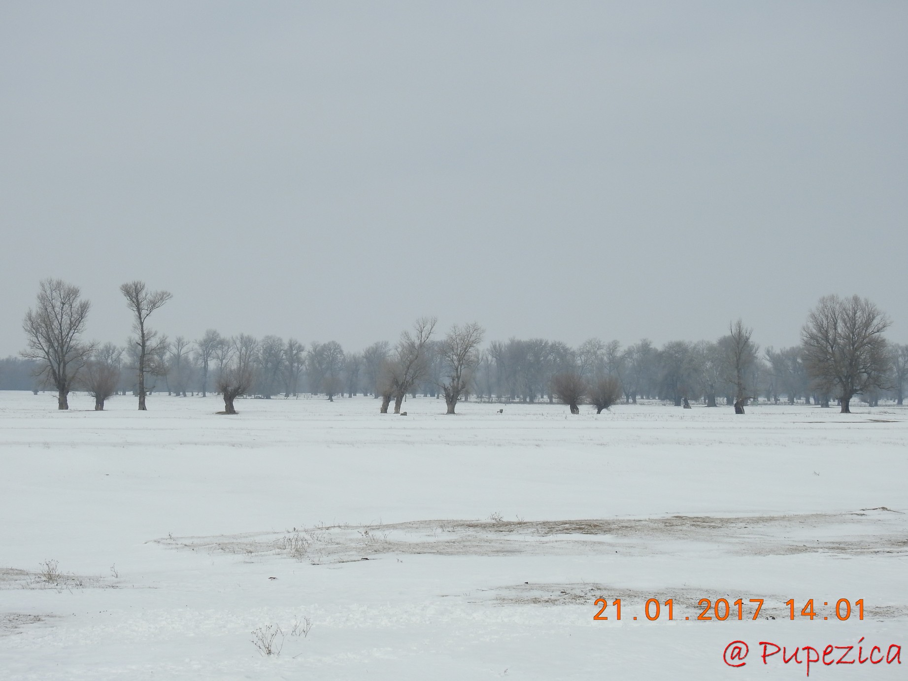 DJ223 - Drumul Frumos catre Delta Dunarii, iarna. Ianuarie 2017 