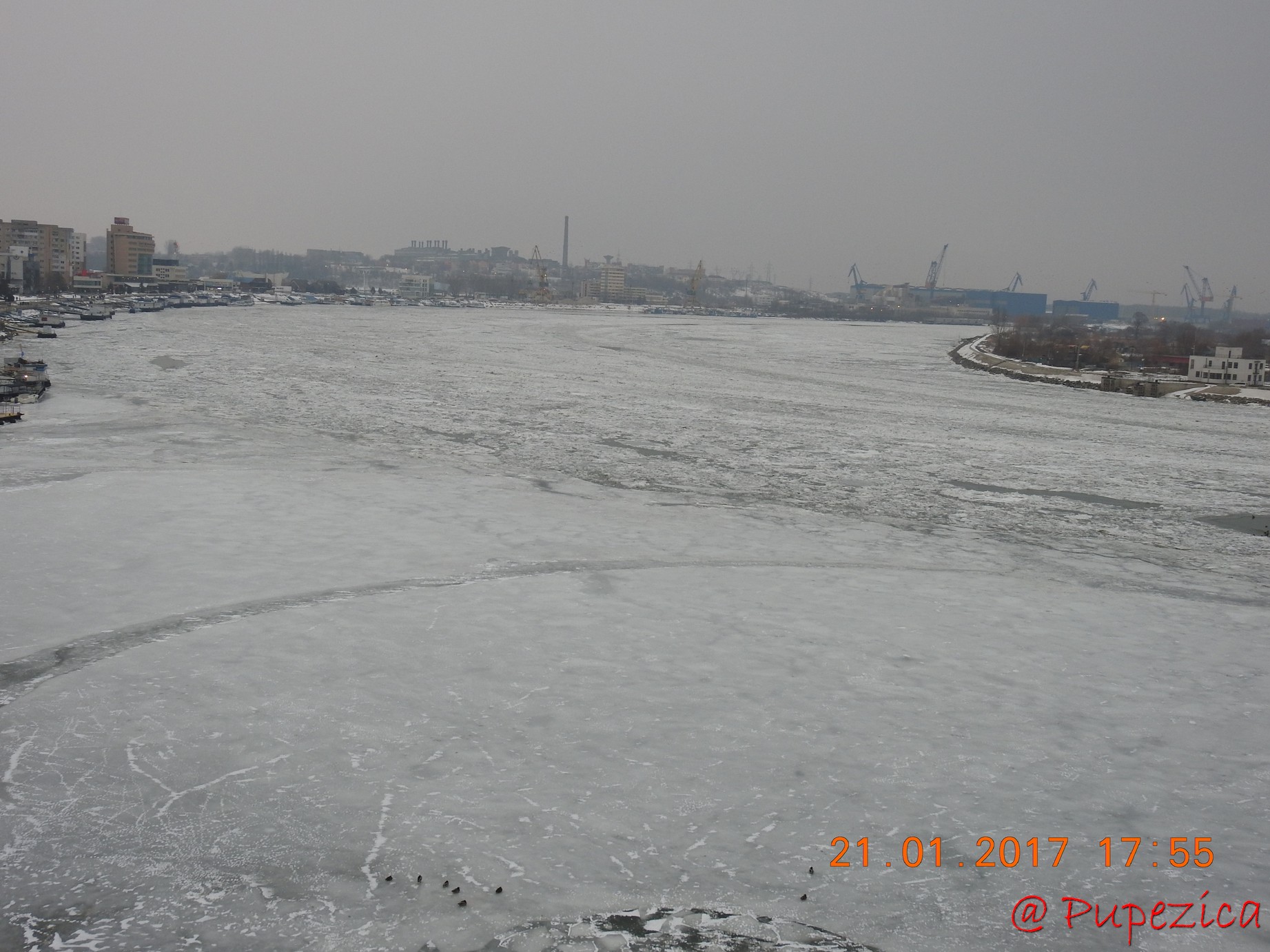 Dunarea prinsa in gheata la Tulcea. Ianuarie 2017
