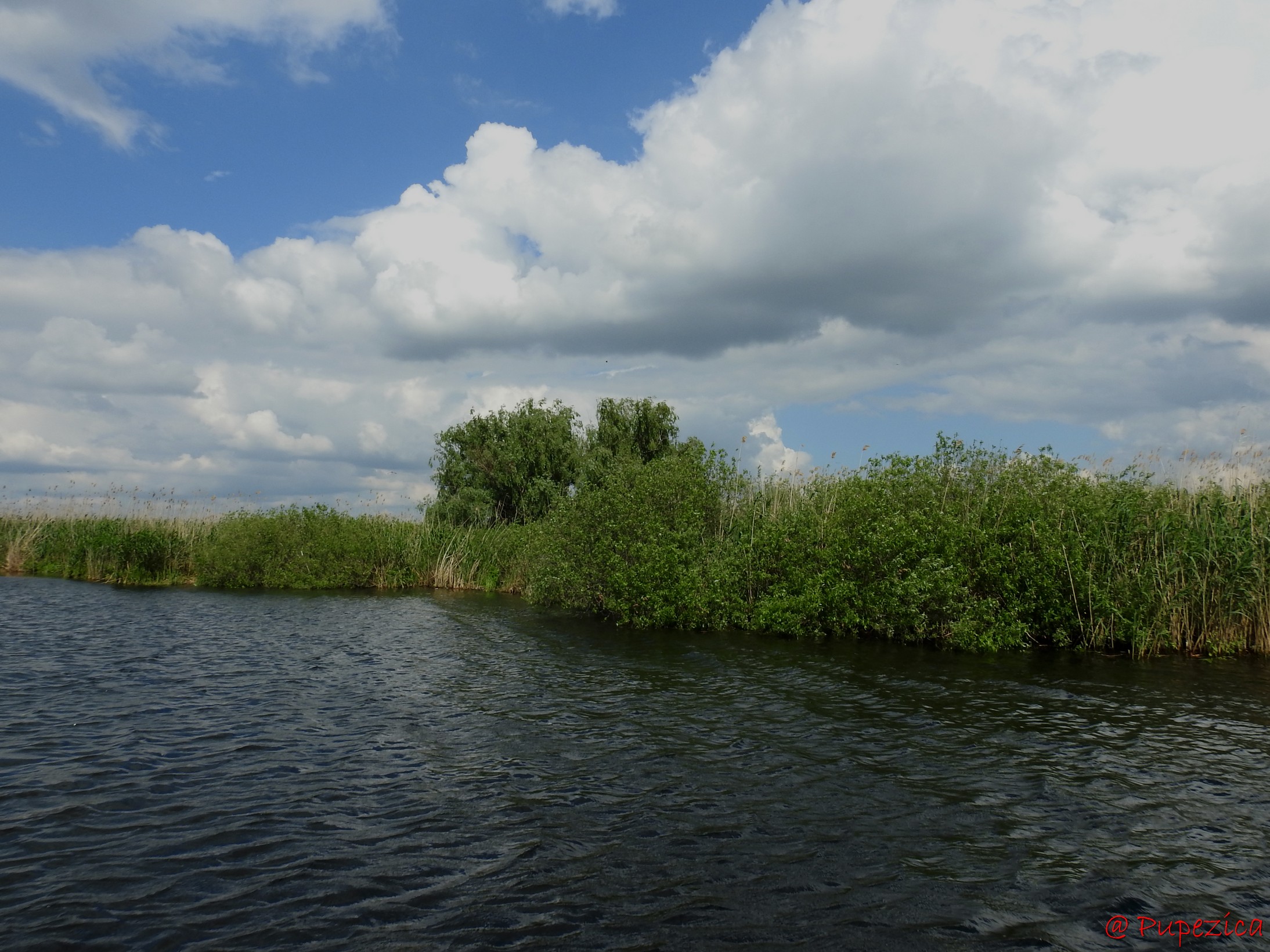 Intrarea Vestica pe Lacul Onofrei de pe Garla Perivolovca