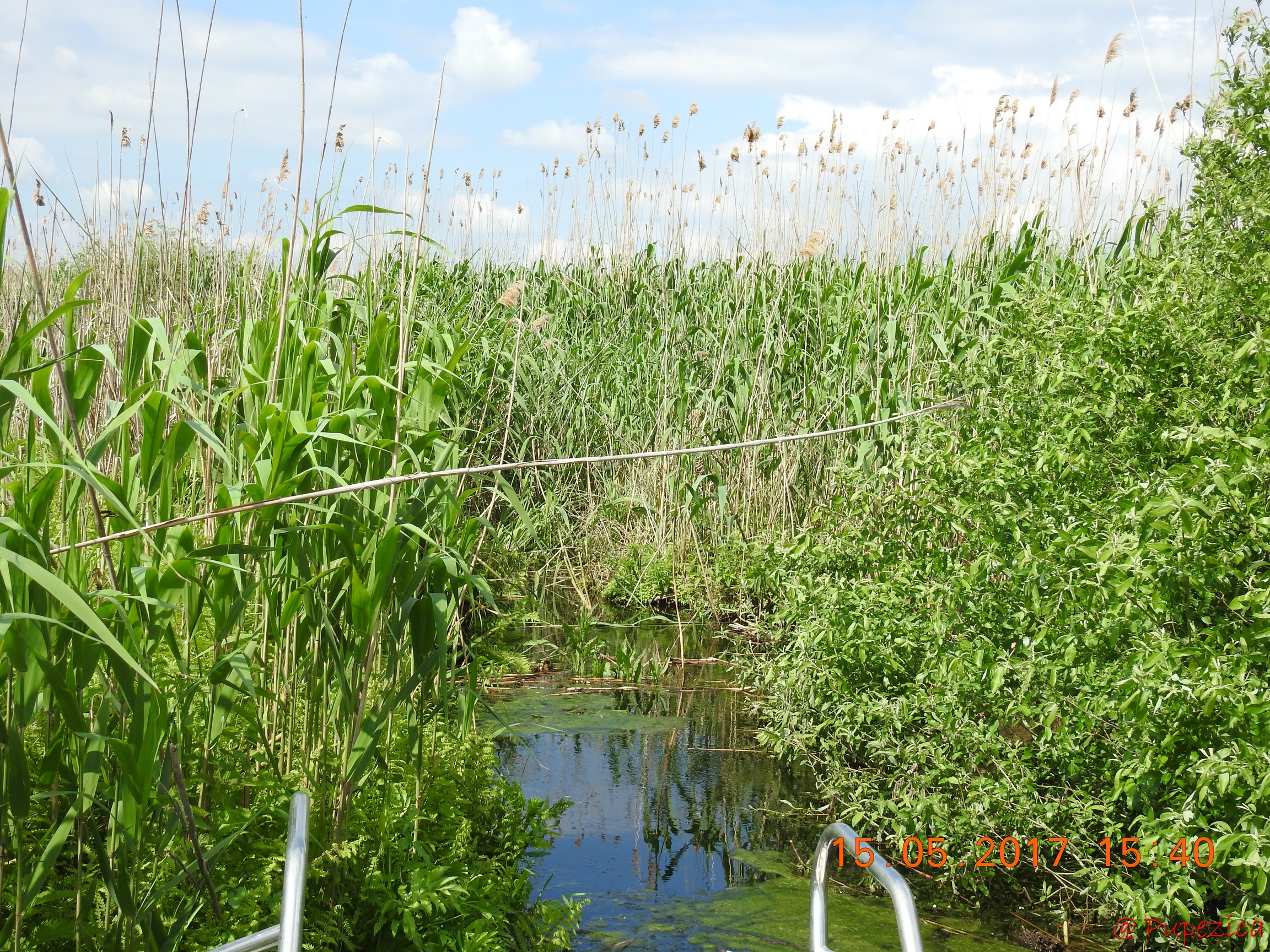 Canalusul Vestic care conduce de pe Garla Perivolovca pe Lacul Onofrei