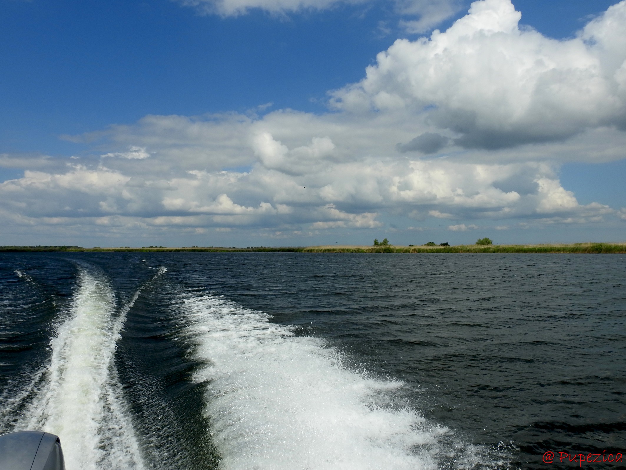 Croaziera pe lacul Onofrei din Delta Centrala. Spre capatul nordic al lacului