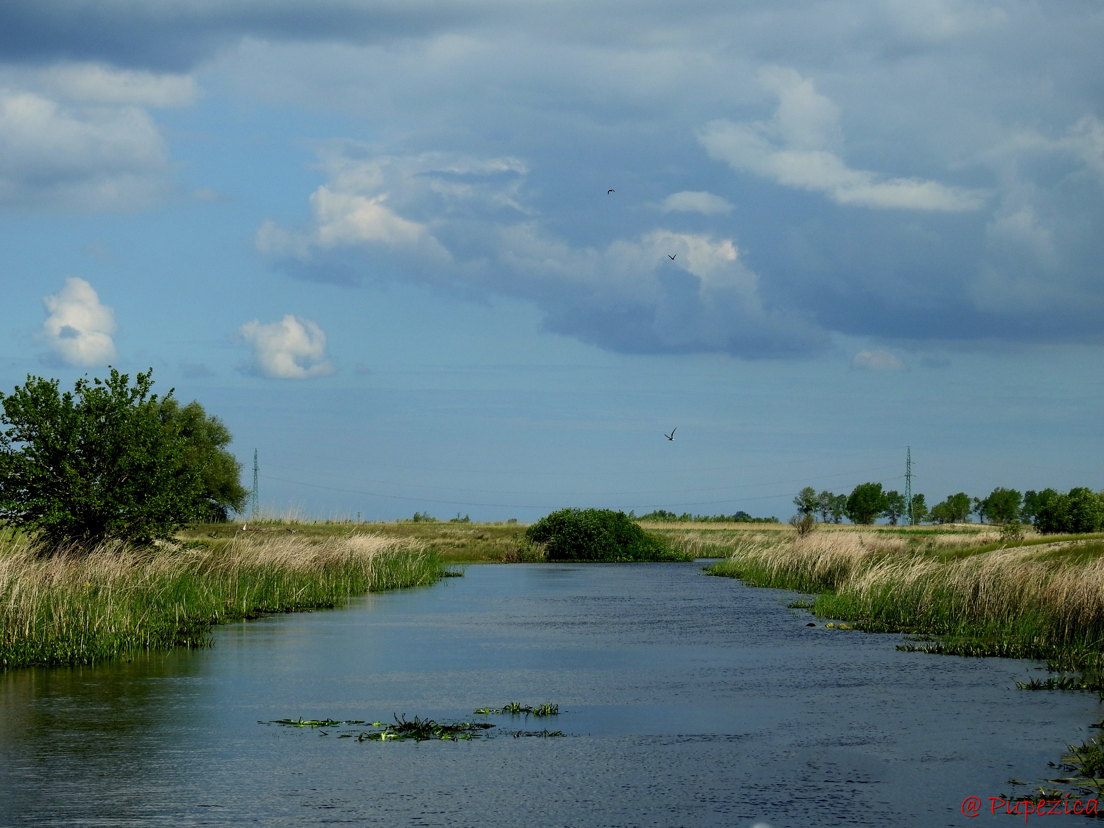 Canalul Suez din Delta Centrala taie de la vest la est Grindul nisipos Caraorman