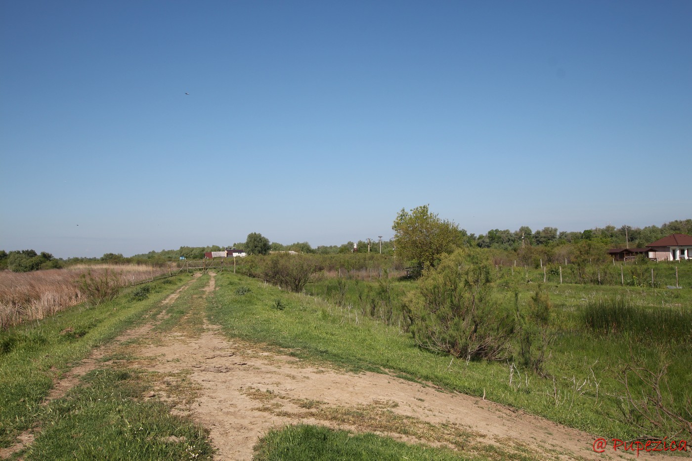 Satul Gorgova din Delta Dunarii. Digul de aparare din spatele satului