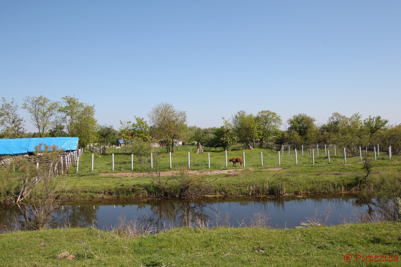 Satul Gorgova din Delta Dunarii. Digul de aparare din spatele satului