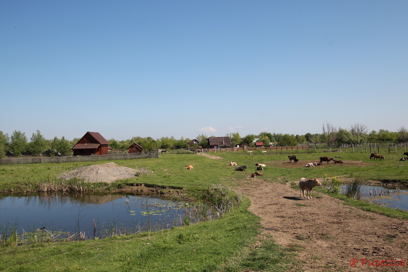 Satul Gorgova din Delta Dunarii. Digul de aparare din spatele satului