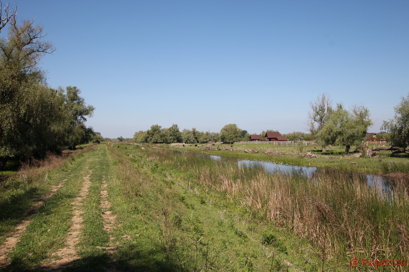 Satul Gorgova din Delta Dunarii. Digul de aparare din spatele satului