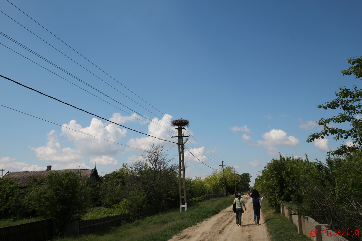 Satul Gorgova din Delta Dunarii. Digul principal de pe malul drept al Bratului Sulina