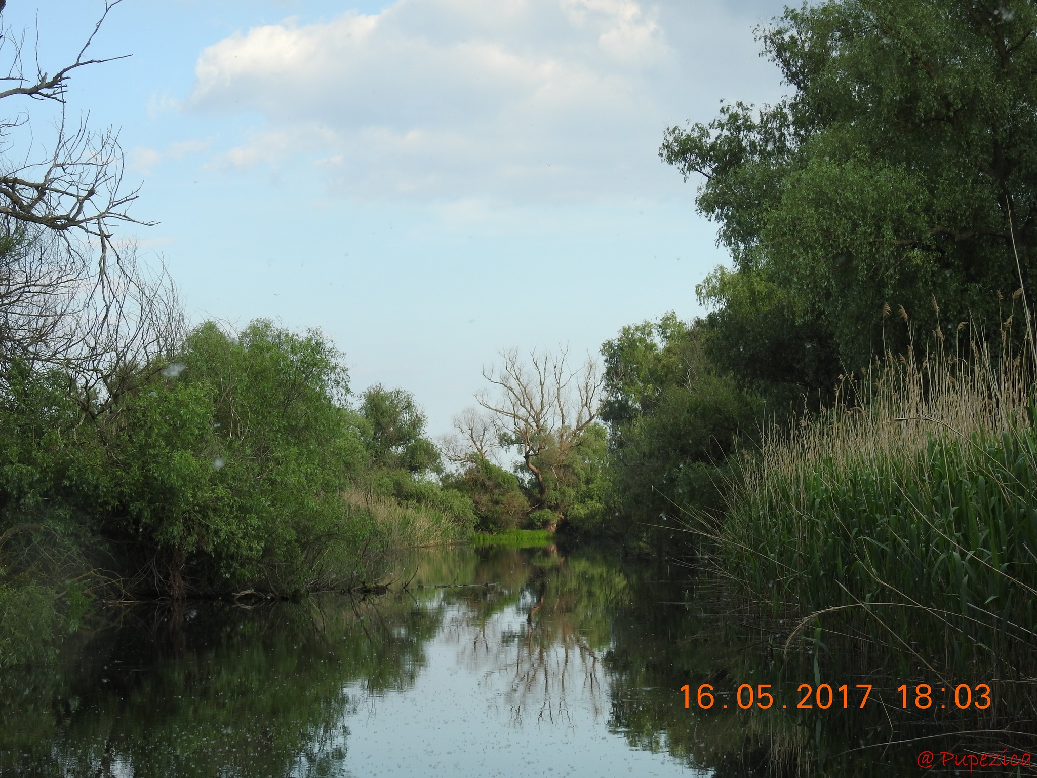 Canalul de Argint de pe Lacul Baclanestii Mari pe Canalul Razboinita