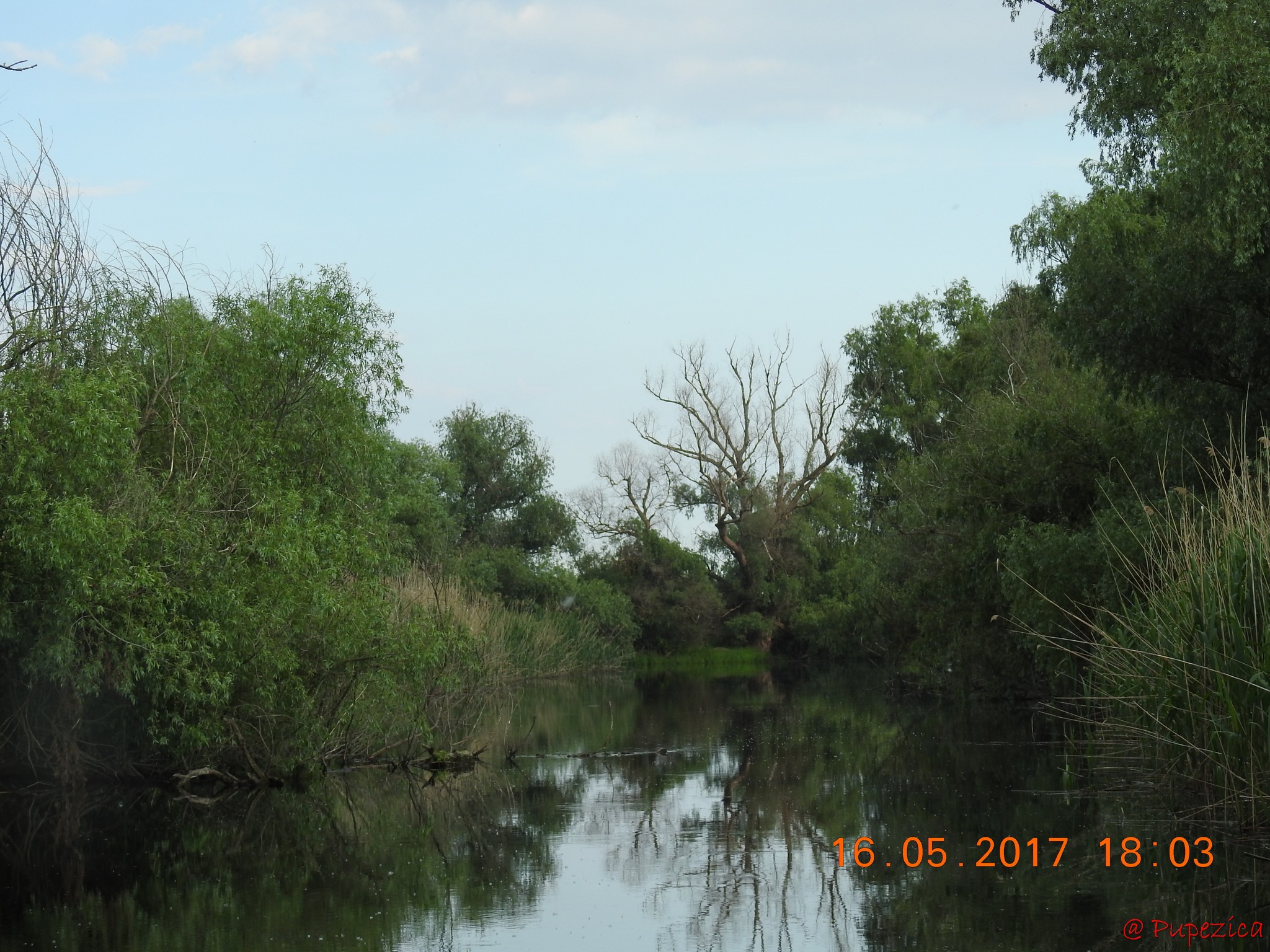 Canalul de Argint de pe Lacul Baclanestii Mari pe Canalul Razboinita