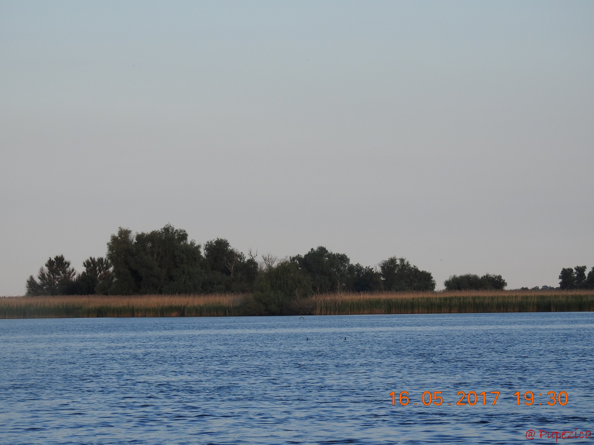 Lacul Vacaru din Delta de Vest