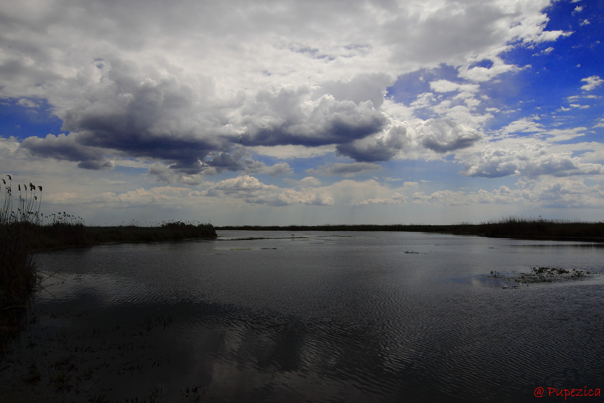 Lacul Lungulet din Delta Centrala