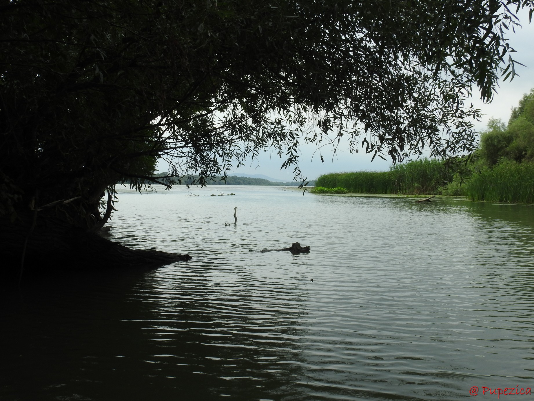 Intrarea Sudica pe Canalul Filat. Vedere de pe Canalul Filat spre Dunare
