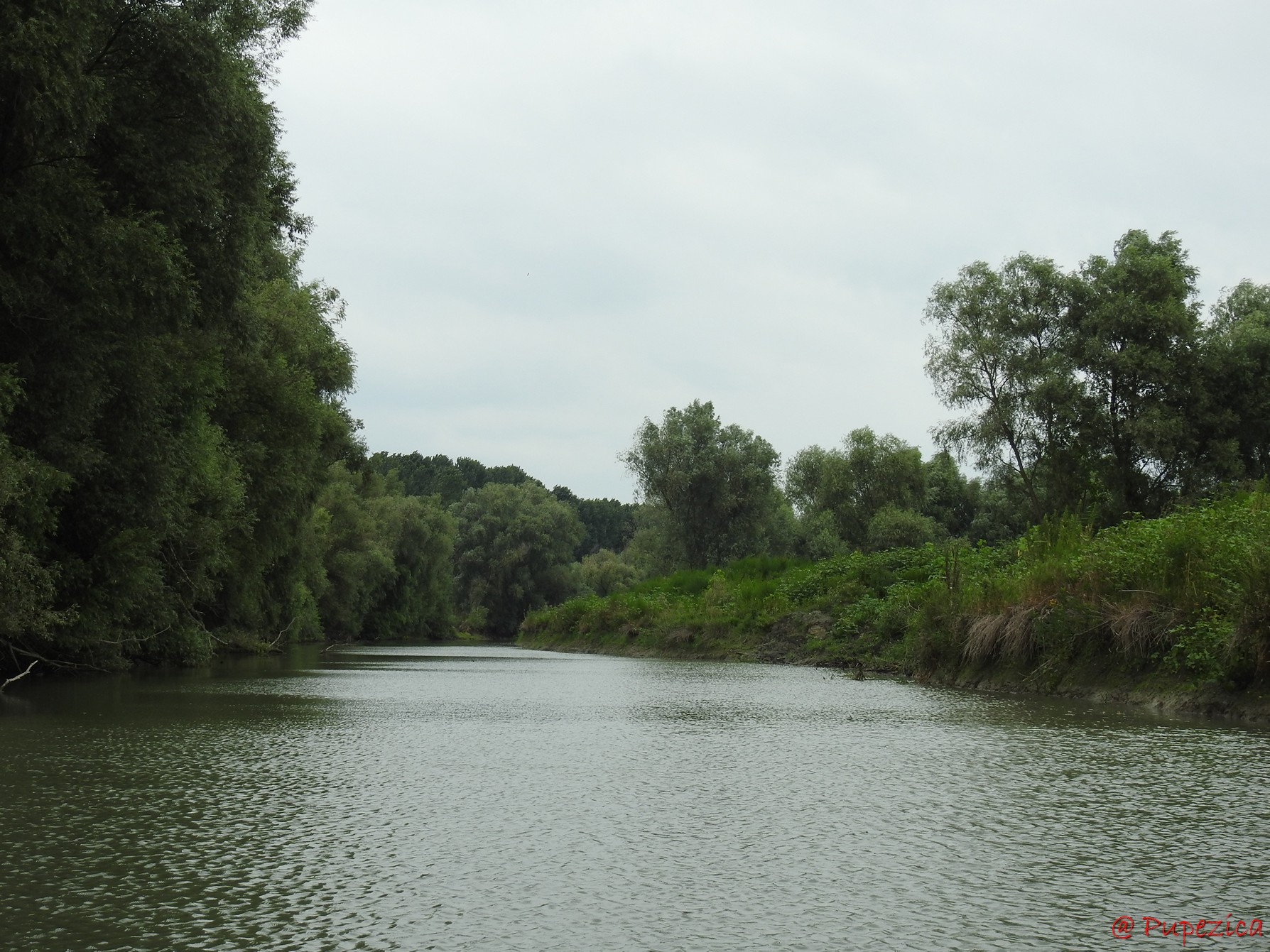 Canalul Filat