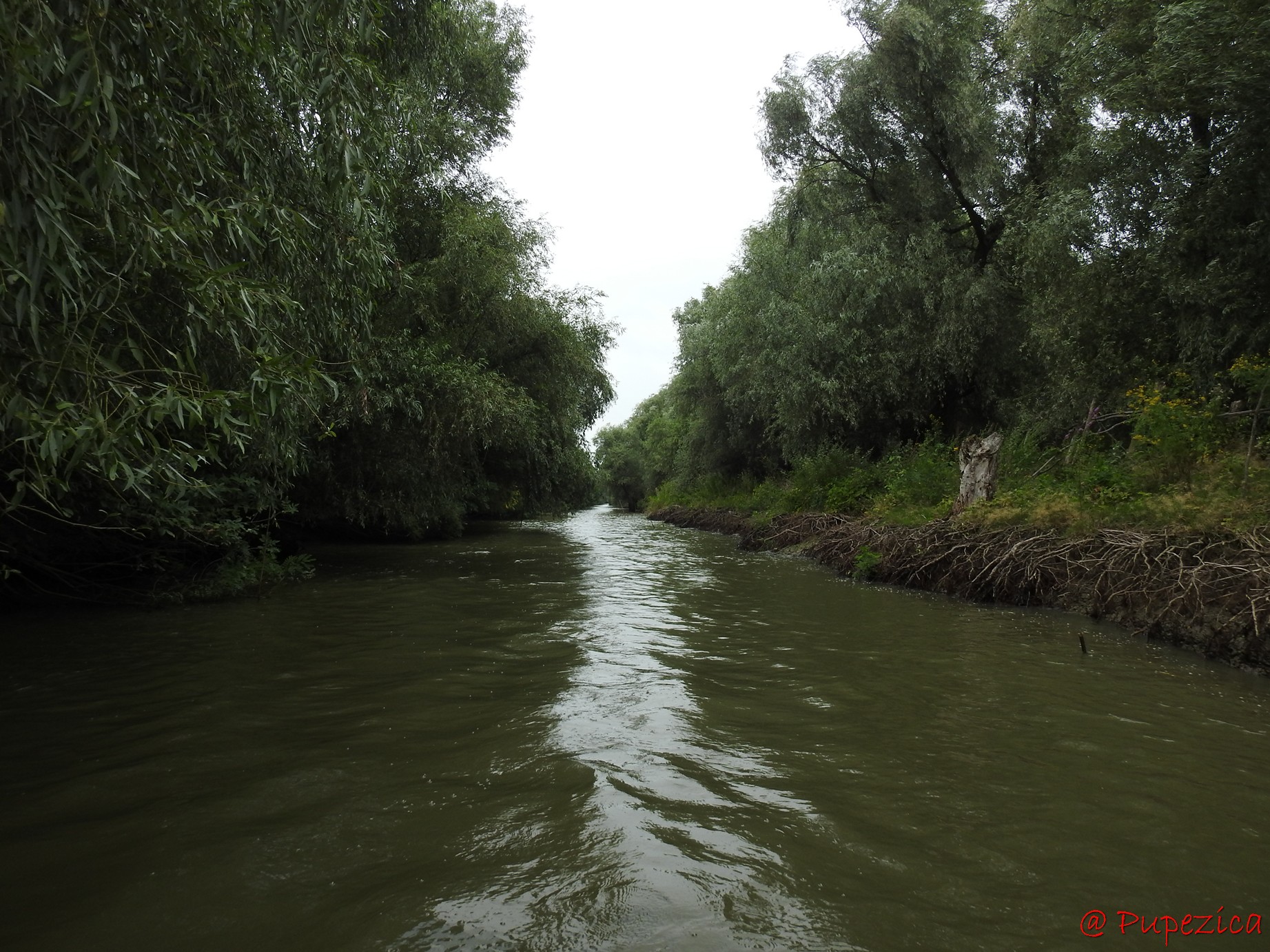 Canalul Gorgova parcurs de la sud la nord, cu intrare de pe Litcov