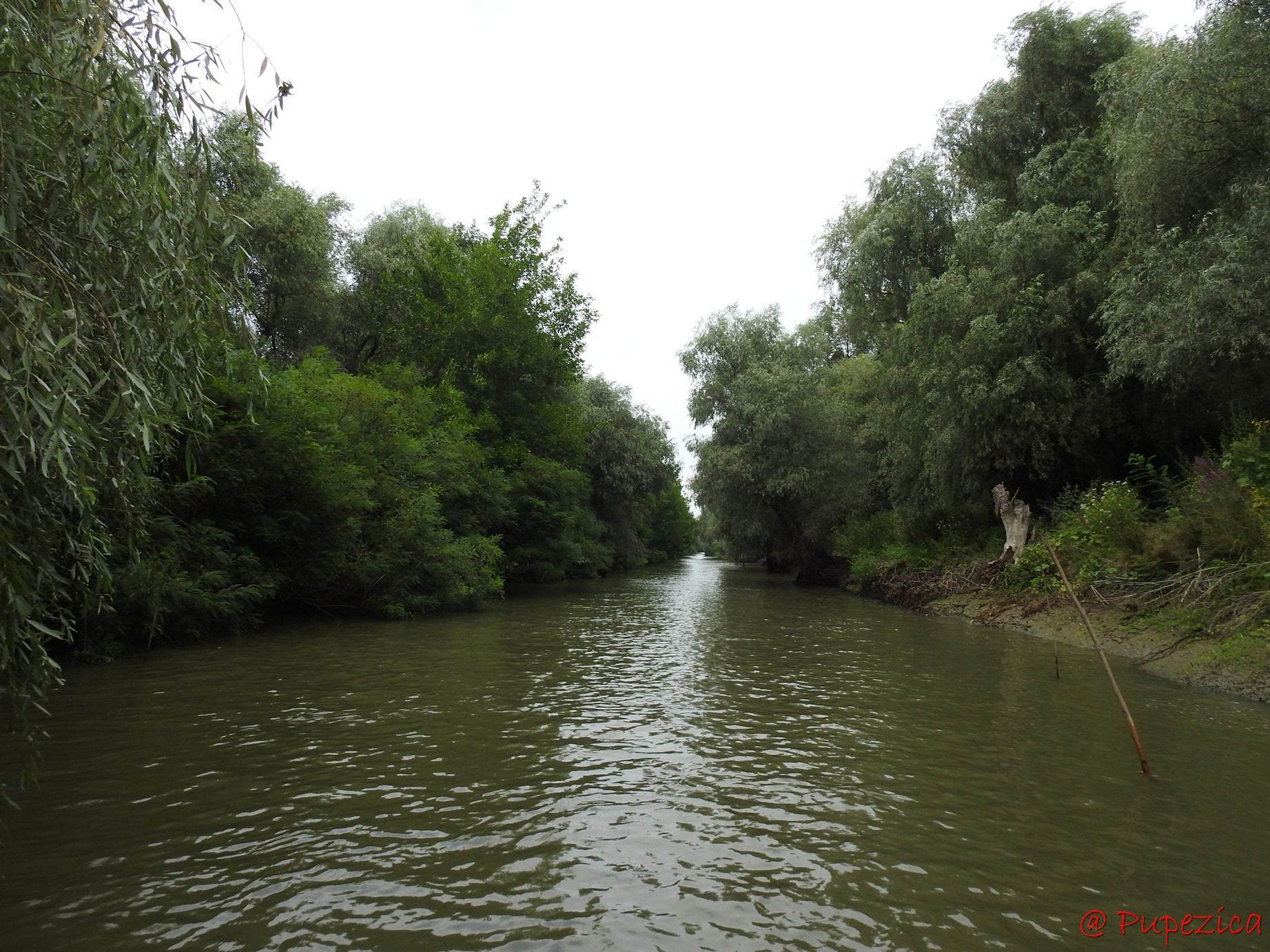 Canalul Gorgova parcurs de la sud la nord, cu intrare de pe Litcov