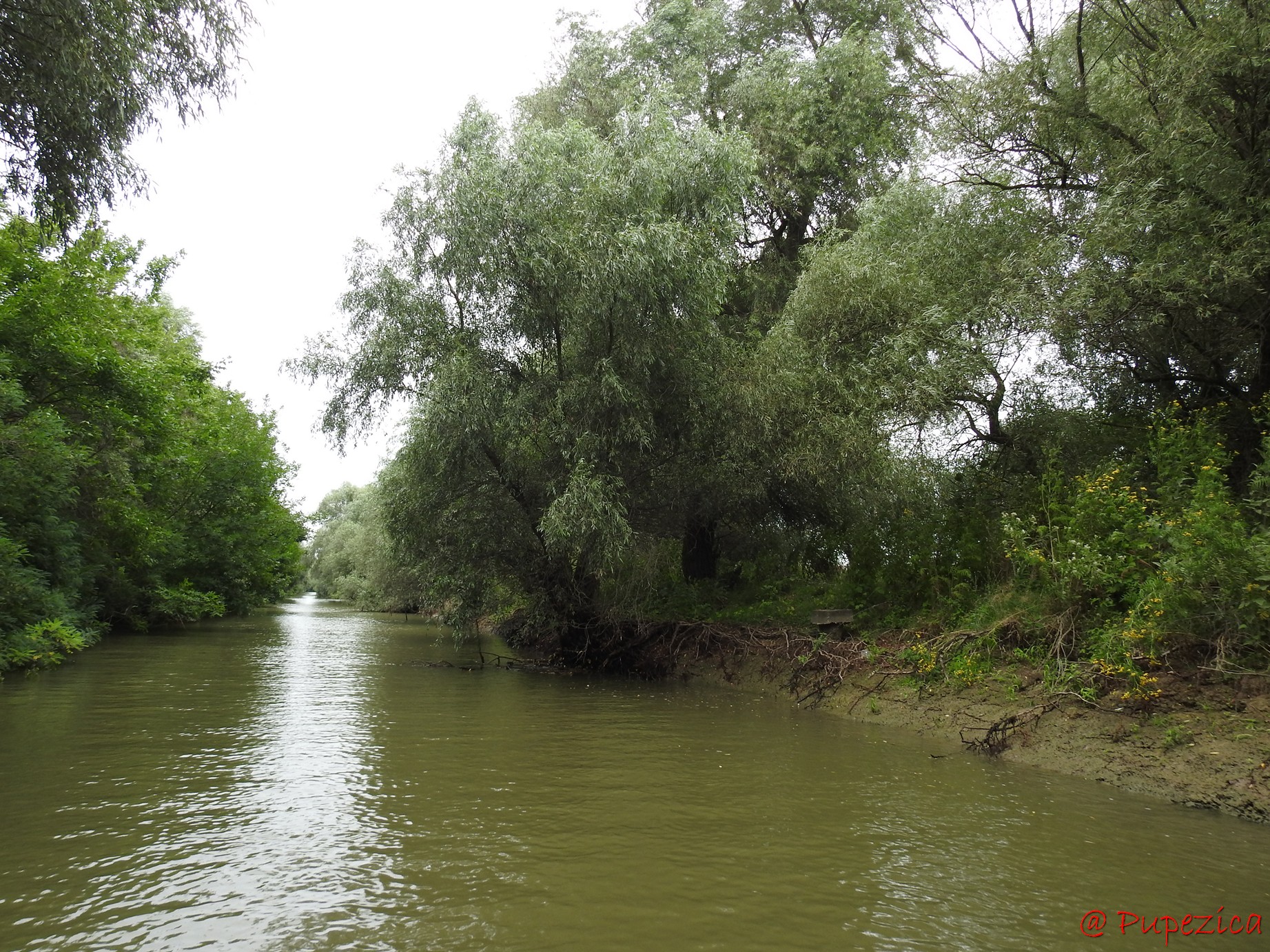 Canalul Gorgova parcurs de la sud la nord, cu intrare de pe Litcov
