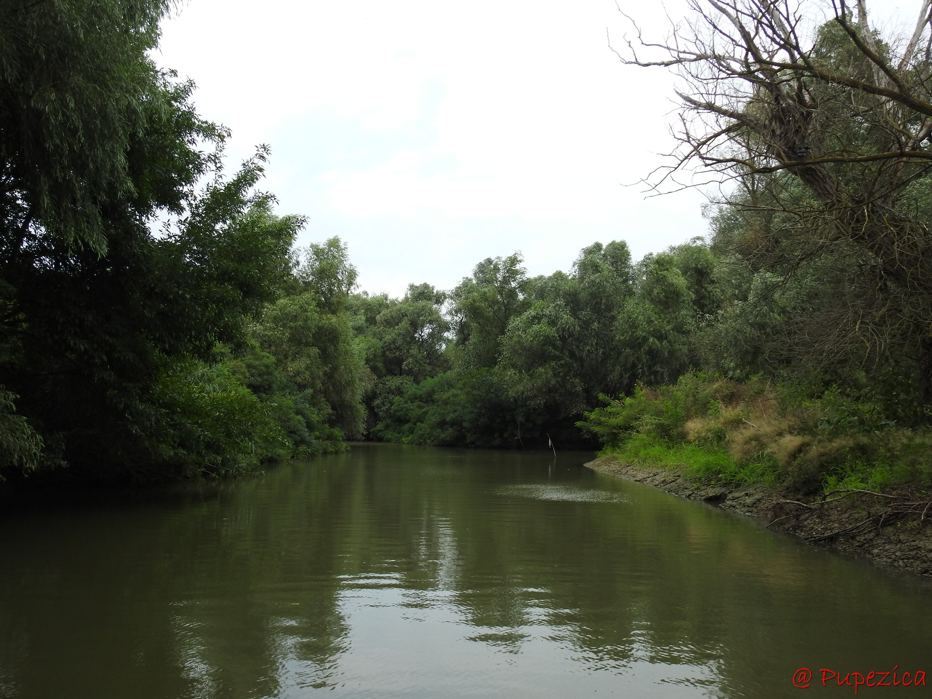 Intersectia Canalului Gorgova cu Intrarea Vestica pe Lacul Gorgovat