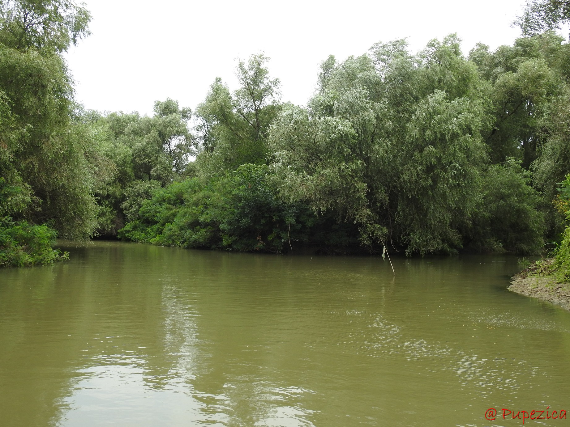 Intersectia Canalului Gorgova cu Intrarea Vestica pe Lacul Gorgovat