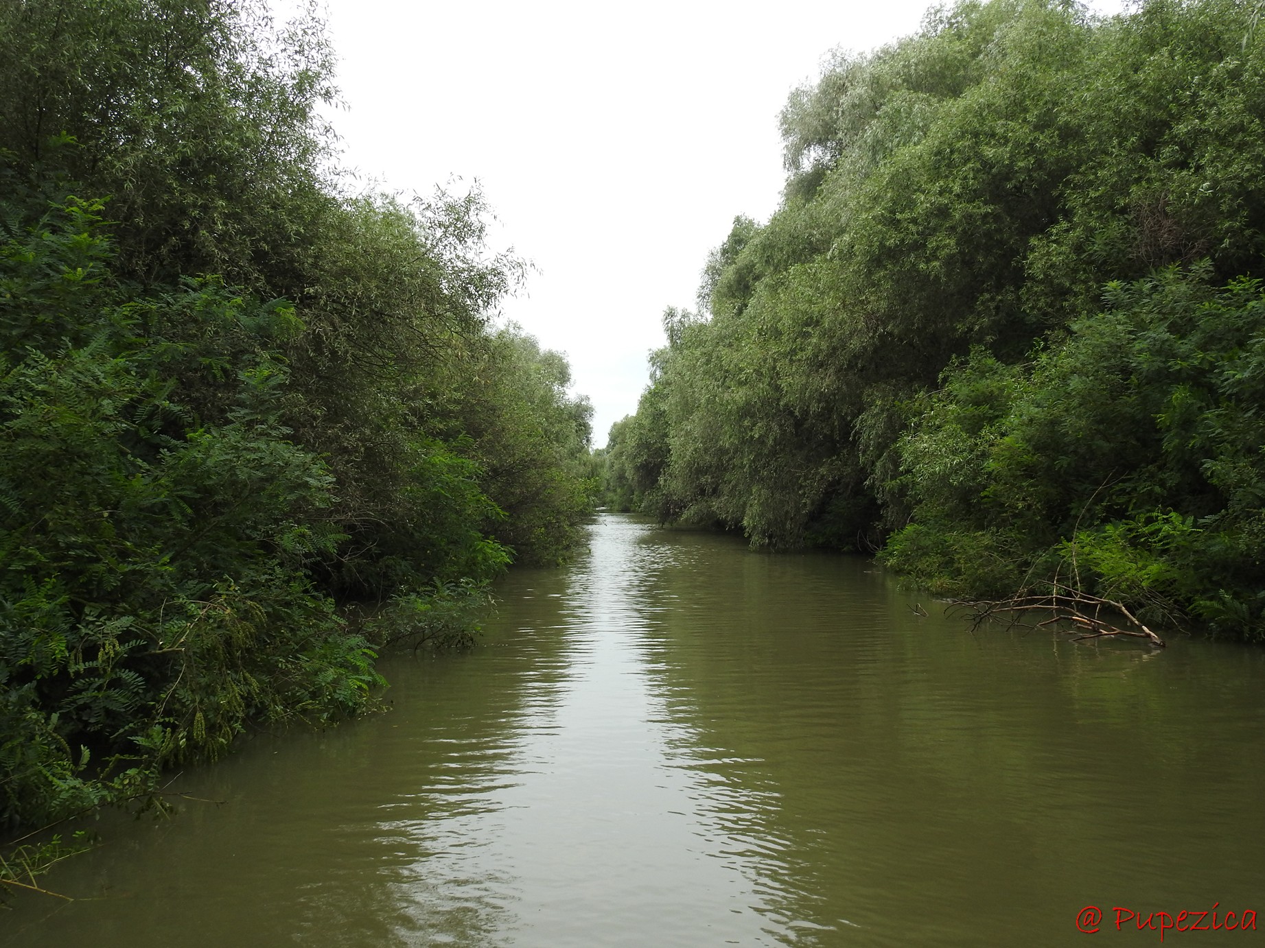 Canalul Gorgova parcurs de la sud la nord, cu intrare de pe Litcov