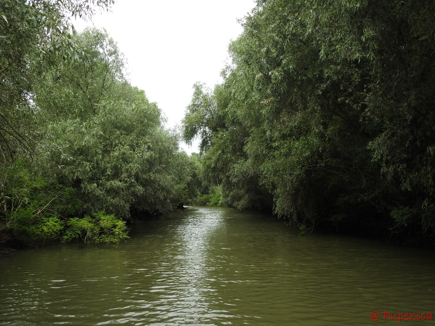 Canalul Gorgova parcurs de la sud la nord, cu intrare de pe Litcov