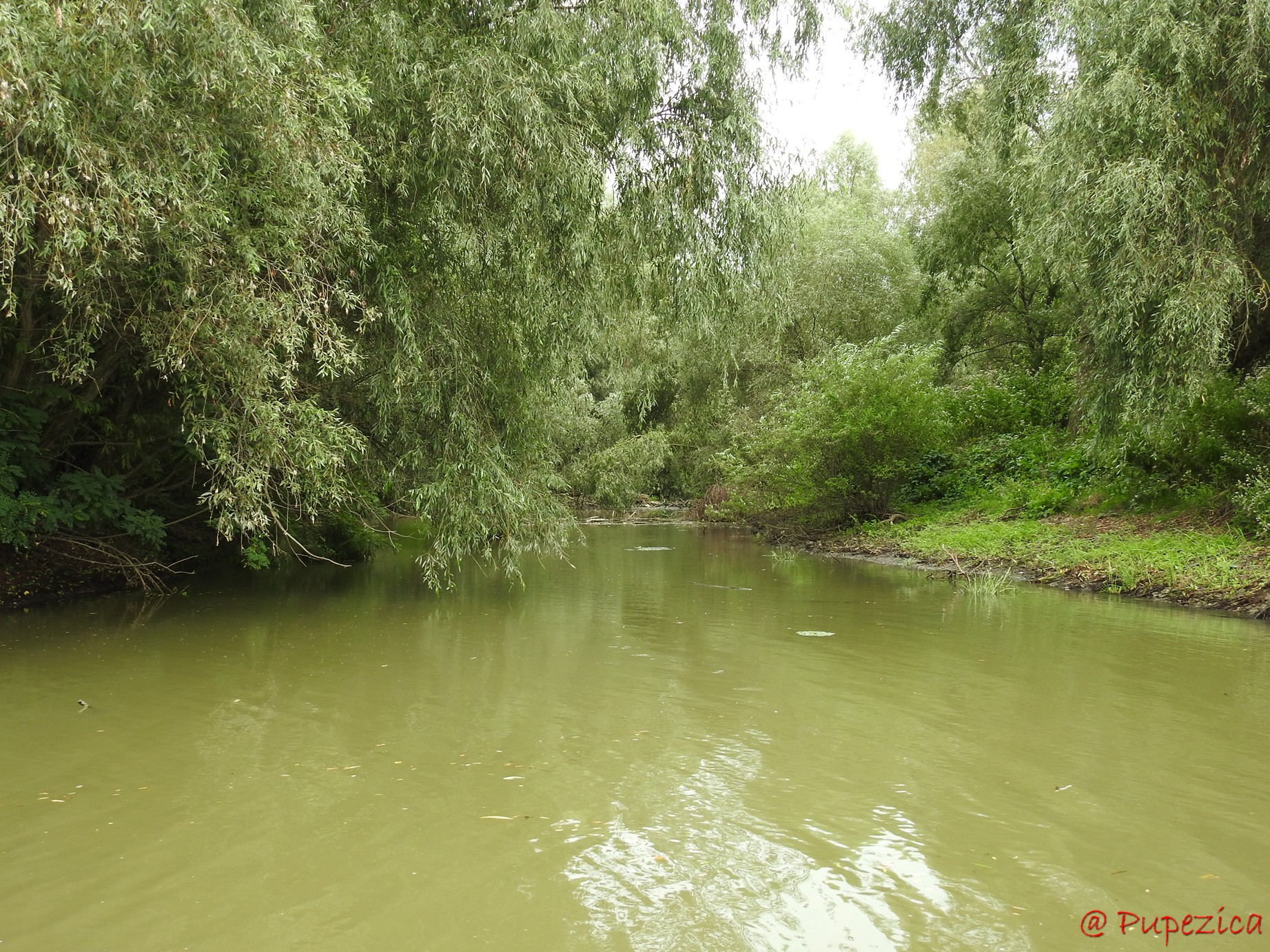 Canalul Gorgova parcurs de la nord la sud. Intrarea Vestica pe Lacul Gorgovat blocata