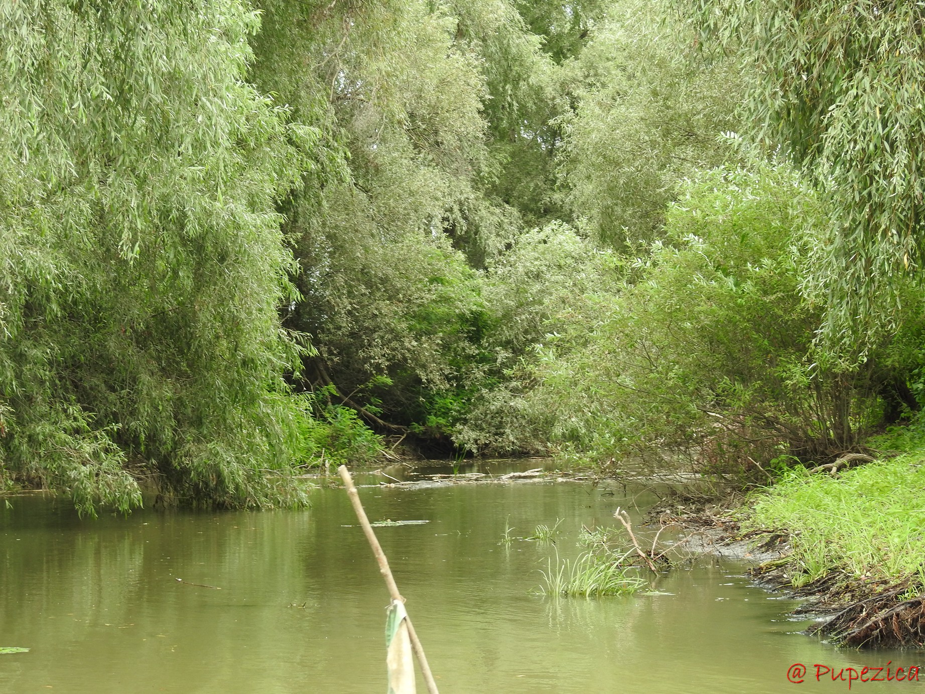 Canalul Gorgova parcurs de la nord la sud. Intrarea Vestica pe Lacul Gorgovat blocata