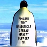 PINGU